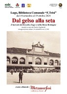 Dal-gelso-alla-seta-il-mercato-dei-bozzoli-a-Lugo-e-nella-Bassa-Romagna