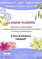 Le-piante-Acidofile-quali-sono-e-come-trattarle