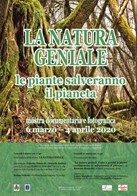 La-natura-geniale-le-piante-salveranno-il-pianeta
