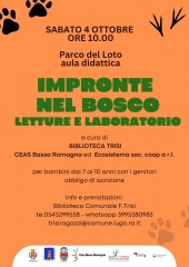 Impronte-nel-bosco